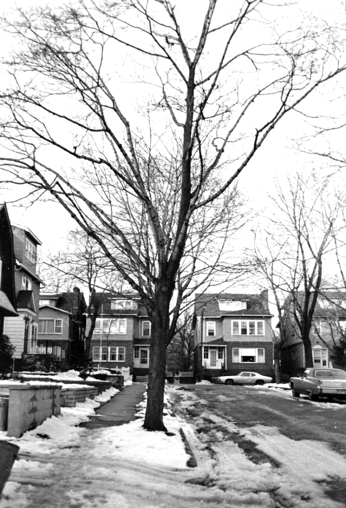 Shot of walnut parkway near the corner of  Walnut Street.