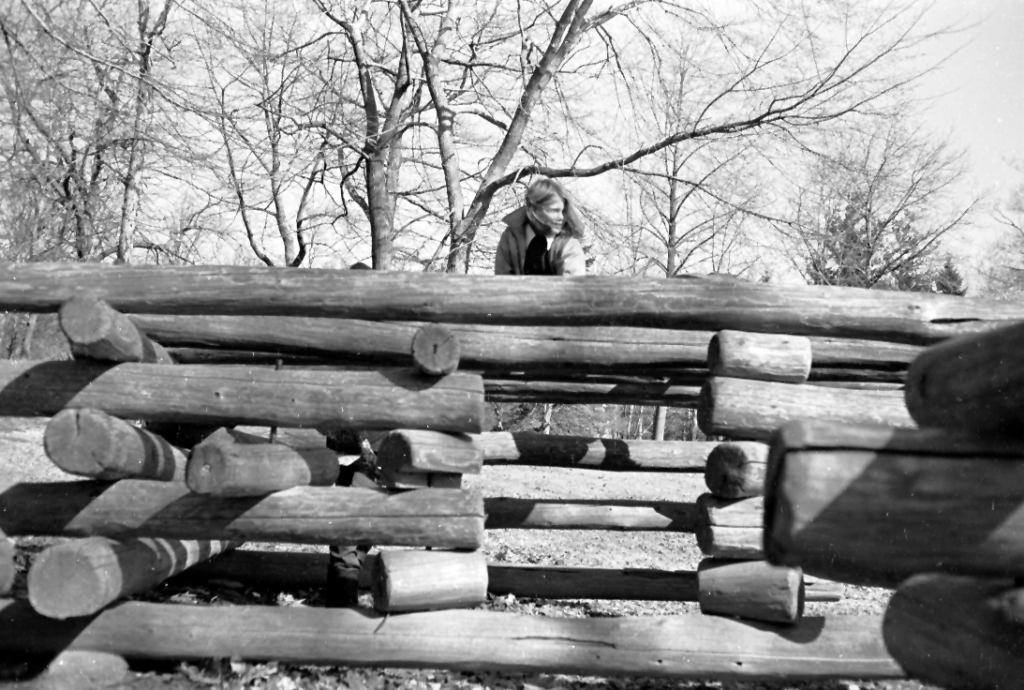 Brookdale Park climbing logs.